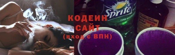 метадон Елизово