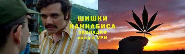 метадон Елизово