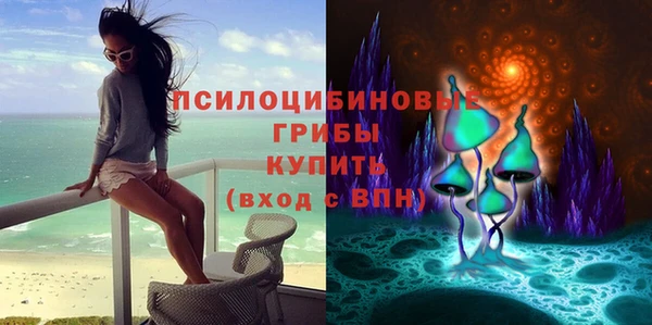 метадон Елизово