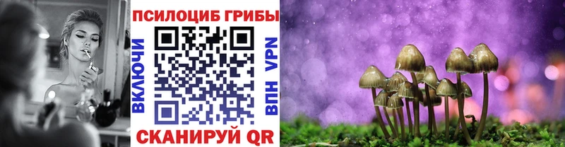 Галлюциногенные грибы прущие грибы Камень-на-Оби