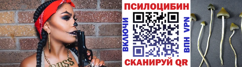 купить   Камень-на-Оби  даркнет состав  Галлюциногенные грибы прущие грибы 