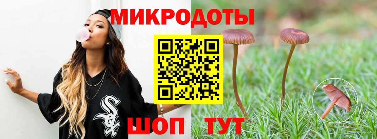 Псилоцибиновые грибы ЛСД Камень-на-Оби