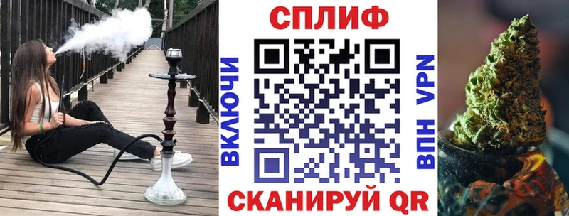 Бошки марихуана план  Камень-на-Оби 